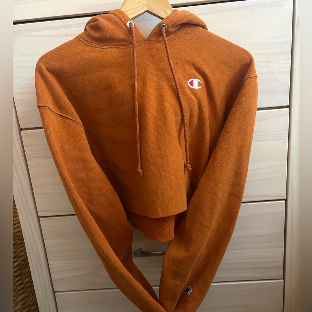 Champion Rare Rust Orange Hoodie